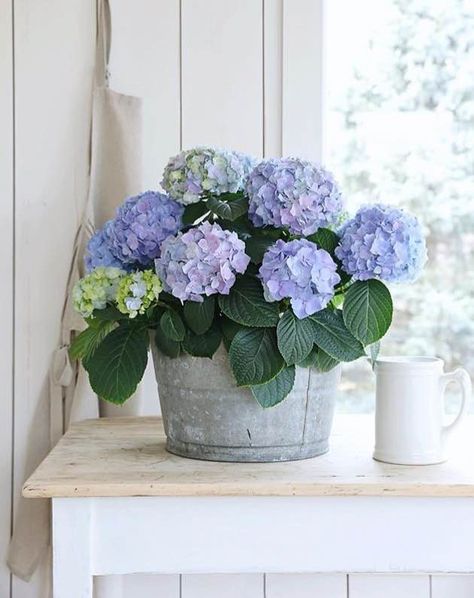 Weekly home and design inspiration from LoveGrowsWild.com Farmhouse Florals, Garden Goals, Glam Design, Hydrangea Garden, Green Stuff, Summer Living, Floral Table, Silk Flower Arrangements, Country French