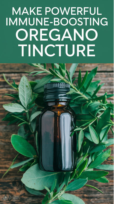 Discover how to make a powerful oregano tincture right at home. This simple DIY recipe harnesses the immune-boosting properties of oregano to keep you healthy year-round. Perfect for beginners looking to embrace natural remedies. Click now to learn how to make your own herbal tincture. Immunity Tincture Recipe, Herb Tincture Recipes, Oregano Oil Tincture Recipe, Homemade Tincture Recipes, How To Make Tinctures, Oregano Tincture Recipe, Oregano Tincture Benefits, Rosemary Tincture Recipe, How To Make Oregano Oil At Home