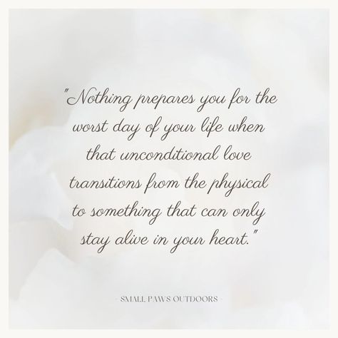 One year ago to the day, my life and my world changed in a heartbeat. The minute yours stopped, a piece of mine went too 😢💔 Even though it seemed sudden, I knew deep down it had been on the horizon. And even though I had weeks, maybe months to prepare for it, I think I was in some sort of denial because I just didn't want to believe it. Nothing, nothing prepares you for the worst day of your life when that unconditional love transitions from the physical to something that can only stay alive ... Love Of A Dog, Thinking Of You Today, I Miss You More, Stay Alive, Worst Day, One Year Ago, Deep Down, We Meet Again, On The Horizon