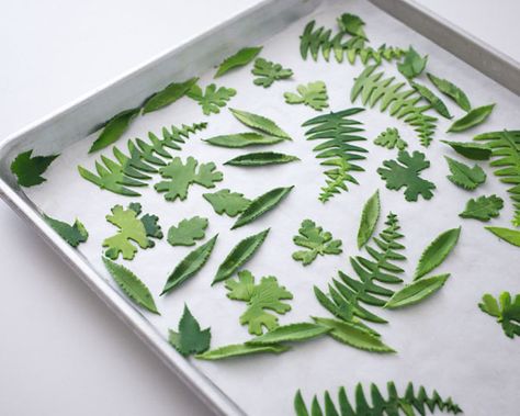 Edible Ferns, Diy Cupcake, Diy Cupcakes, Magic Cake, Cake Blog, Dinosaur Cake, Gum Paste Flowers, Cut Out Cookies, Wedding Cupcakes