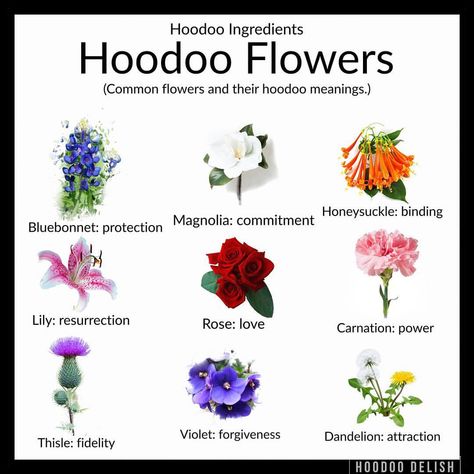 ~*~ HOODOO INGREDIENTS: HOODOO FLOWERS ~*~ In honor of Easter here are some of the meanings of flowers used in Hoodoo work. The best ways… Hoodoo Saints, Hoodoo Conjure Rootwork, Hoodoo Rootwork, Digital Grimoire, Hoodoo Magic, Hoodoo Conjure, Hoodoo Spells, Magickal Herbs, Voodoo Hoodoo