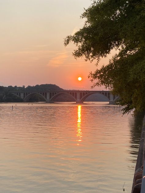 cute sunset pic inspo photo aesthetic trees water bridge washington dc Aesthetic Trees, Water Bridge, Georgetown Dc, Cute Sunset, Bridge Sunset, Sunset Pic, Sunset Photos, Washington Dc, Washington