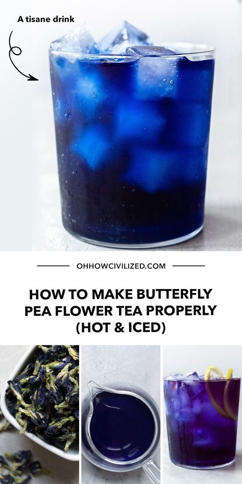 Butterflypeaflower Tea, Making Herbal Tea, Tea Guide, Pea Flower Tea, Butterfly Pea Flowers, Herbal Drink, Pear Flower, How To Make Butterfly, Butterfly Pea Tea