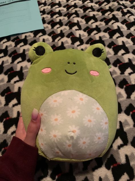 cute wendy squishmallow Green Squishmallow Aesthetic, Frog Squishmallow Aesthetic, Squish Mallows Aesthetic, Squishmallows Cute, Spring Squishmallow, Squishmallows Wendy, Wendy Squishmallow, Aesthetic Squishmallows, Squishmallows Aesthetic