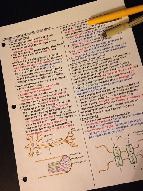 Two Column Notes, Handwriting Examples, Notes Inspo, Organization Notes, Neat Handwriting, College Notes, Science Notes, Aesthetic Notes, School Organization Notes