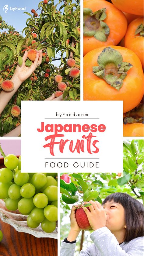 Fruit Season Chart, Asian Fruit, Japan For Kids, Chinese Fruit, Japanese Fruit, Sustainable Homestead, Fruit Sandwich, Sweet Whipped Cream, Japanese Treats