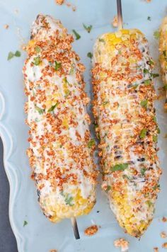 The Homestead Survival | Mexican Corn On The Cob Recipe  | http://thehomesteadsurvival.com Best Corn On The Cob Recipe, Cob Recipes, Mexican Style Corn, Mexican Street Corn Recipe, Cook Corn, Street Corn Recipe, Summer Grilling Recipes, Mexican Street Corn, Street Corn