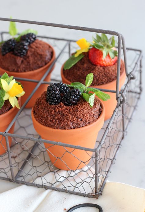 Flower Pot Cake, Fresh Fruit Cake, Fresh Strawberry Recipes, Beaux Desserts, Chocolate Crumbs, Pot Cakes, Tasty Dessert, Spring Cake, Spring Desserts