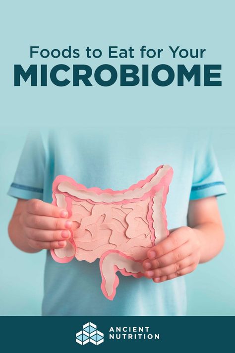 How can you improve your gut microbiome? If you’re looking to learn how to increase good bacteria in your gut naturally, we’ll show you how to eat in a way that supports growth of healthy gut microbes, plus explain “gut disruptors” you’ll want to avoid. Microbiome Diet, Self Sabotaging, Good Gut Bacteria, Gut Healing Recipes, Healing Recipes, Healthy Lifestyle Habits, Gut Bacteria, Gut Microbiome, Healthy Gut