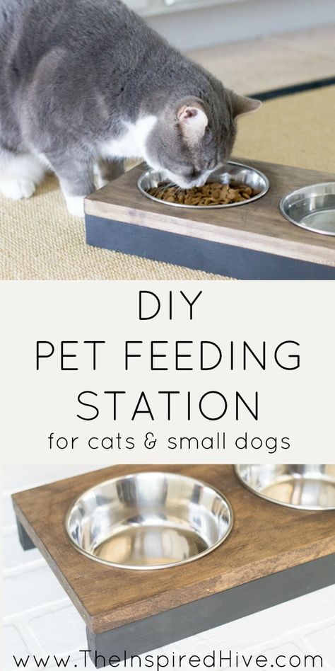 It's so easy to build this DIY raised pet feeder! Perfect idea for small dogs or cats. Get modern farmhouse style with black and wood tones. Diy Raised Cat Food Bowl, Diy Cat Bowl Stand, Pet Feeding Station Diy, Raised Cat Food Station, Diy Cat Feeding Station, Cat Food Station, Diy Cat Food, Cat Feeding Station, Pet Feeding Station