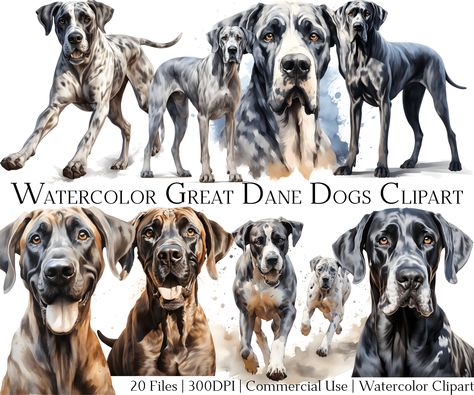 Chibi Dog, Dogs Clipart, Dog Clip Art, Dane Dog, Great Dane Dogs, Australian Shepherds, Shop Watercolor, Cute Chibi, Watercolor Artwork