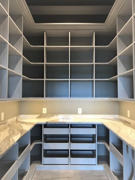 Pantry With Built Ins, U Shaped Walk In Pantry, Square Pantry Design, Large Walk In Pantry, Dream Pantry Walk In Luxury, Dream Pantry Walk In, Pantry Pull Out Drawers, Walk In Pantry Ideas Layout, Walk In Pantry Ideas