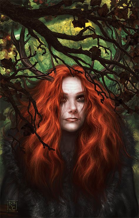 Elen Of The Ways, Illustrated Novel, Pagan Inspiration, Celtic Deities, Writing A Story, Celtic Gods, Celtic Goddess, Wild Animals Pictures, Pagan Art