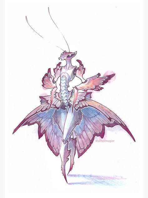 "orchid mantis" Photographic Print by drachenmagier | Redbubble Orchid Mantis, Mythical Creatures Art, Monster Design, Creature Concept Art, Arte Fantasy, Creature Concept, Creature Design, A Drawing, Creature Art