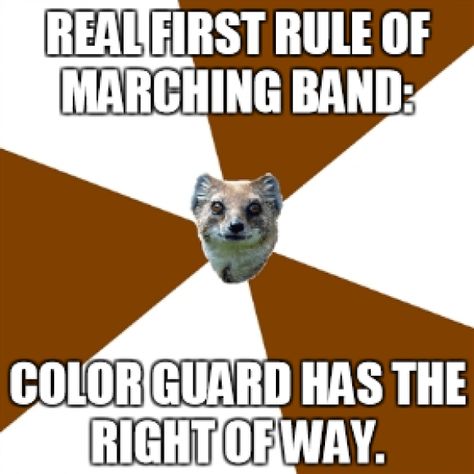 Colorguard Memes Funny, Color Guard Funny, Color Guard Memes, Guard Quotes, Color Guard Quotes, Marching Band Jokes, Flute Problems, Marching Band Problems, Marching Band Memes