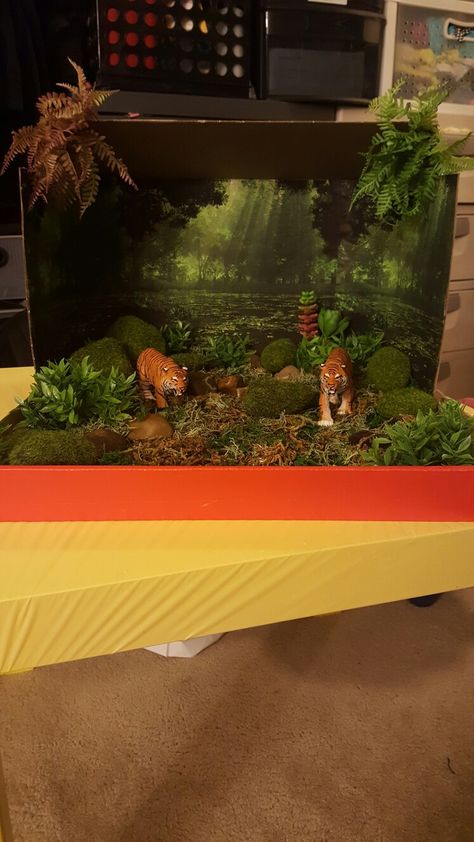 Science projects Tiger Habitat Diorama, Tiger Habitat Project For Kids, Bengal Tiger Habitat, Fox Diorama, Rain Forest Diorama, Animal Diorama, Rainforest Diorama, Endangered Animals Project, Diaroma Ideas