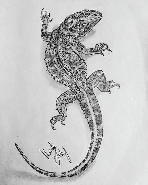 Bearded Dragon Drawing, Lover Drawing, Bearded Dragon Tattoo, Lizard Tattoo, Baby Bearded Dragon, Bearded Dragon Cute, Henna Inspired Tattoos, Easy Animal Drawings, Dragon Movies