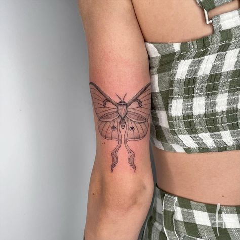 Harry Plane on Instagram: “Thanks Hayley! #lunamoth #lunamothtattoo #butterflytattoo #mothtattoo #insecttattoo #finelinetattoo #adelaide #adelaidetattoo” Luna Moth Tattoo, Insect Tattoo, Moth Tattoo, Luna Moth, Fine Line Tattoos, Fine Line, Body Tattoos, Butterfly Tattoo, Lotus Flower Tattoo