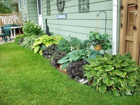 Hottest Photos Shade Garden ideas Strategies If the yard is filled with large shade trees, it’s already challenging to cultivate sun-loving pla Shade Garden Design Layout, Yard Remodel, Shade Landscaping, Shade Garden Design, Hosta Gardens, Pergola Design, Garden Shrubs, Garden Design Ideas, Low Maintenance Garden