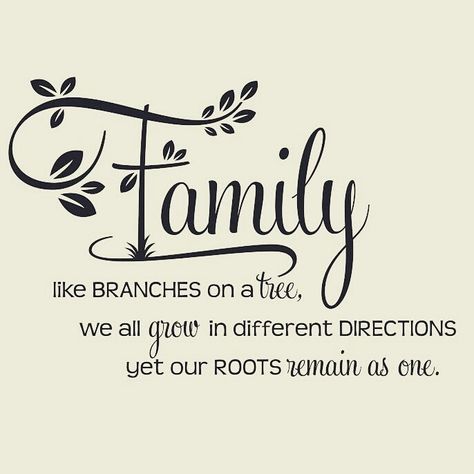 Family Reunion Quotes, Reunion Quotes, Family Reunion Themes, Family Tree Quotes, Family Valentines, Tree Quotes, Family Decals, Family Reunion Planning, Reunion Ideas