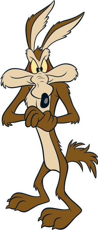 Acme Cartoon, Wile E Coyote, Looney Tunes Characters Tattoo, Road Runner Cartoon Wallpapers, Looney Tunes Road Runner, Wiley Coyote And Road Runner, Road Runner Cartoon Drawing, Roadrunner And Coyote Cartoon, 90s Cartoon Characters