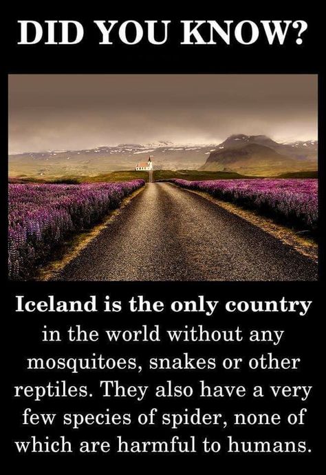 Interesting Facts About World, Travel Quotes Adventure, Parc D'attraction, Dream Travel Destinations, Adventure Quotes, Random Facts, To Infinity And Beyond, Incredible Places, Cool Places