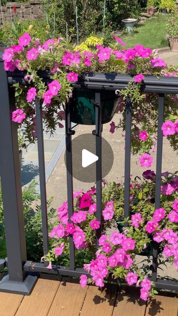 Busy Balconista 🌸 Deborah Holtschlag on Instagram: "I wanted that “European” balcony garden layered look and I wanted an easy install so I invented the vertical garden clip for railings.  🪴LINK IN BIO for my RailScapes Or ⭐️ Get Yours 👉🛍️ PlantTraps.com  #entrepreneur #gardeningideas #balcony #planttraps #railscaping #verticalgardening #flowers #containergardening #gardeninglove" Flower Box Balcony, European Balcony, Green Balcony, Flower Fence, Balcony Flowers, Pot Ideas, Flower Pots Outdoor, Balcony Railing, Outdoor Flowers