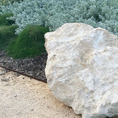 Bonnie Stacey | Landscape Designer Perth on Instagram: "a coastal garden complete with…  🐚 limestone rocks  🐚crushed stone (mostly limestone with some quartz) 🐚hardy native planting   a winning combo in my opinion 👌🏽   #coastalgarden #nativegarden #landscapedesign #landscapedesigner #perthgarden #landscaping #landscapinginspo #gardendesign #coastalplants" Crushed Limestone, Coastal Garden, Limestone Rock, Landscape Designer, Coastal Gardens, Crushed Stone, Native Garden, Landscaping With Rocks, Garden Styles