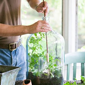 Best Terrarium Plants, Closed Terrarium Plants, Terrarium Scene, Build A Terrarium, Large Terrarium, Large Glass Bottle, Bottle Terrarium, Herb Gardening, Miniature Gardens