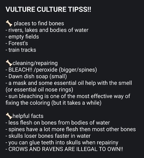 Vulture Culture Tips, Bones In Witchcraft, Oddities And Curiosities Aesthetic, Bone Hunting Tips, How To Find Bones In The Woods, How To Clean Bones, Grifters Bone, Cannibalismcore Aesthetic, Vulture Culture Aesthetic