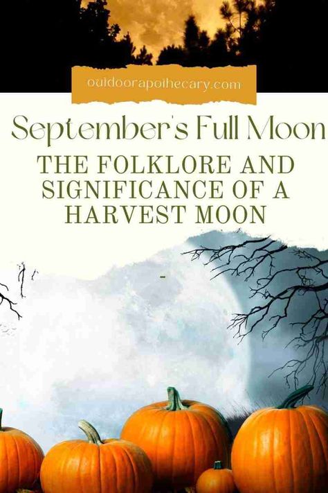 Harvest Full Moon 2023, Harvest Moon Crystals, Full Moon September 2023, Harvest Moon Recipes, Harvest Moon Craft, September Full Moon 2024, Harvest Moon 2023, Harvest Full Moon Ritual, Harvest Moon Ritual