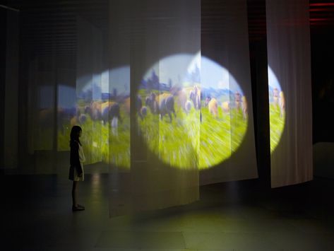 Projection Installation, Pipilotti Rist, Installation Interactive, Gunma, New Media Art, Artistic Installation, Video Projection, Sculpture Installation, To Heaven