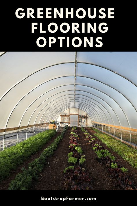 You will want to read this before you decide what to install as your hoop house floor! Learn about different ways to increase drainage and mitigate flooding issues with your greenhouse floor choices. There are a wide variety of options when it comes to flooring in a hoop house and each has its own pluses and minuses. Green House Floor Ideas, Greenhouse Flooring Ideas, Greenhouse Floor Ideas, Greenhouse Flooring, Hoop House Greenhouse, Greenhouse Goals, Hoop Greenhouse, Greenhouse Floor, Hoop House