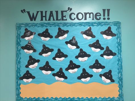 "Whale"come Bulletin board for the new school year 🐳🐋 #Ocean #bulletinboard  #Whale #Preschool Whalecome Bulletin Board, Whale Come Bulletin Board, Water Theme Bulletin Board, Whale Bulletin Board, Under The Sea Bulletin Board, Under The Sea Bulletin Board Ideas, Ocean Bulletin Board Ideas, Sea Bulletin Board, Ocean Bulletin Board