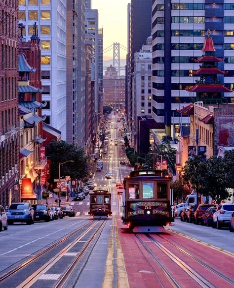 #1 Tour Guide on Tripadvisor on Instagram: “I want to nominate California Street as the best street in the city! Who's with me? 🙋🙋🙋⁠ ⁠ And, sure, Lombard Street is really cool, and…” Powell Street San Francisco, San Francisco Alcatraz, San Francisco Pictures, San Francisco Tours, Lombard Street, San Francisco Travel, Cable Cars, San Fran, Bay Bridge