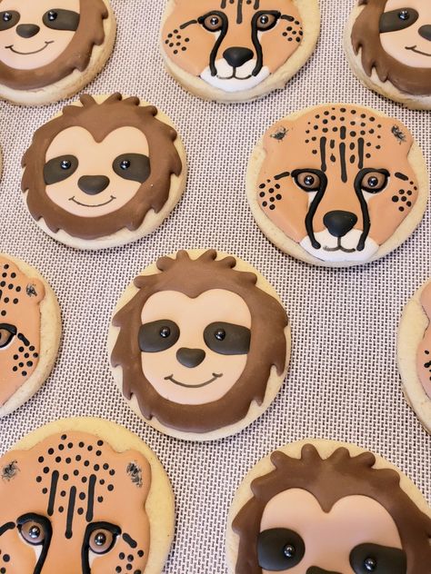 Fastest and slowest animals birthday party theme Sloth cookies Cheetah cookies Cheetah Cookies Decorated, Cheetah Cookies, Zoo Cookies, Sloth Cookies, Jungle Cookies, Cheer Room, Cheetah Birthday Party, Wild Kratts Birthday Party, Cheetah Party