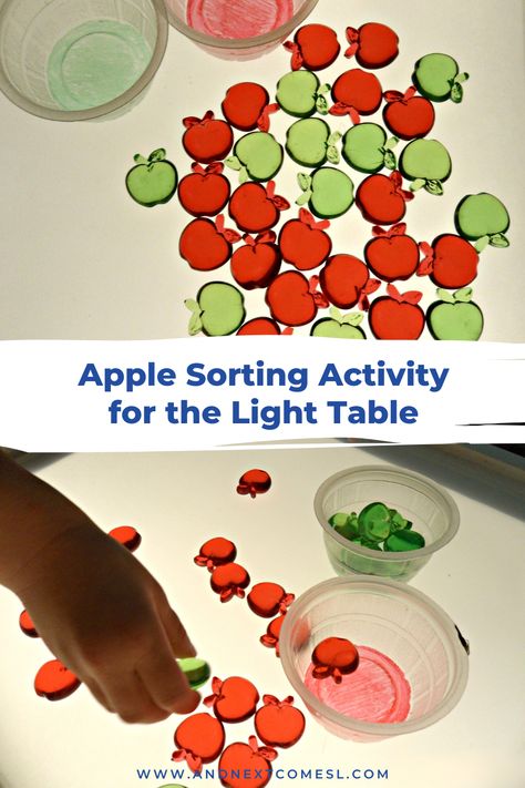 Need apple light table ideas and activities? Then try this simple apple sorting activity for toddlers and preschoolers on the light table. It's a great way to practice color sorting and counting. Light Table Ideas For Preschoolers, Light Table Ideas, Ideas For Preschoolers, Activity For Toddlers, Toddlers And Preschoolers, Counting Activities, Sorting Activities, Color Sorting, Fall Activities