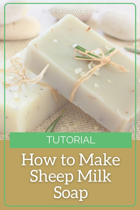 How to Make Sheep Milk Soap - Copia Cove Icelandic Sheep | Butte Montana USA Sheeps Milk Soap, Sheep Milk Soap Recipe, Sheep Milk Recipes, Sheep Milk Soap, Sheep Recipes, Sheep Products, Homestead Products, Dairy Sheep, Herb Witch