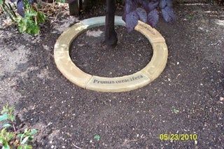 How to Make Concrete Tree Rings : 12 Steps (with Pictures) - Instructables Diy Tree Rings, Concrete Tree, Concrete Garden Edging, Concrete Edging, Edging Stones, Landscaping Around Trees, Landscaping Trees, Mix Concrete, Tree Ring