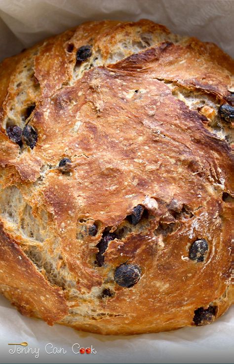 Raisin Loaf Bread, Cinnamon Raisin No Knead Bread, Crusty Cranberry Nut No Knead Bread, Artisan Loaf Bread, No Knead Fruit Bread, Fruit And Nut Bread, Raisin Bread Recipe, Jenny Can Cook, Nut Bread Recipe