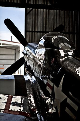 Nice shot of a cherished P-51 Mustang Wwii Fighter Planes, P 51 Mustang, Wwii Airplane, Wwii Fighters, Air Race, Wwii Plane, P51 Mustang, Ww2 Planes, Military Aviation