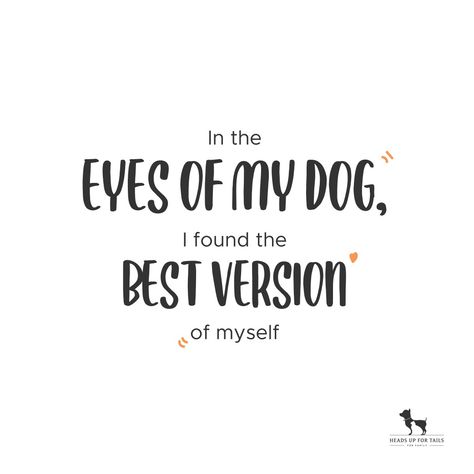 Dog Lover Quotes Feelings, Dog Parents Quotes, Soul Dog Quotes, Dogs Quotes, Dog Mom Quotes, Soul Sunday, Diy Pet Toys, Dog Lover Quotes, Pet Essentials