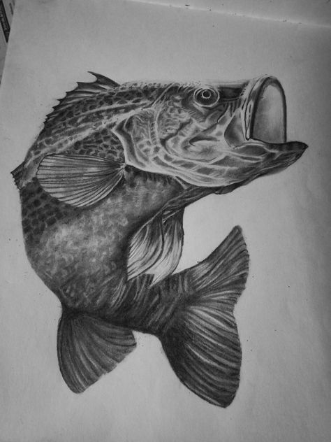 #pencil #sketch #blackandwhite #drawing #pencilsketch Bass Fish Drawing Pencil, Sea Life Pencil Drawings, Fish Realistic Drawing, Underwater Drawing Pencil, Sea Life Sketches, Realistic Fish Drawing, Fish Pencil Sketch, Fish Drawing Pencil, Fish Sketch Drawing