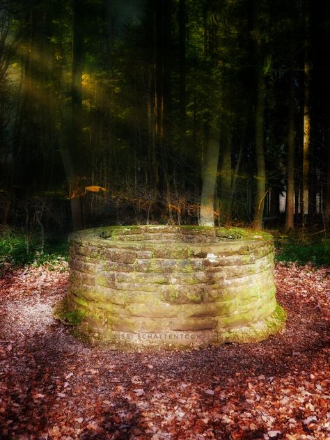 Wishing Well - The Germanic and Celtic peoples considered springs and wells sacred places. Some people believe that the guardians or dwellers of the well would grant them their wish if they paid a price. After uttering the wish, one would generally drop coins in the well. Wikipedia Old Well Aesthetic, Wishing Well Aesthetic, Well Aesthetic, Surah Yusuf, Old Well, Wish You Well, Pagan Witch, Inner World, Short Comics