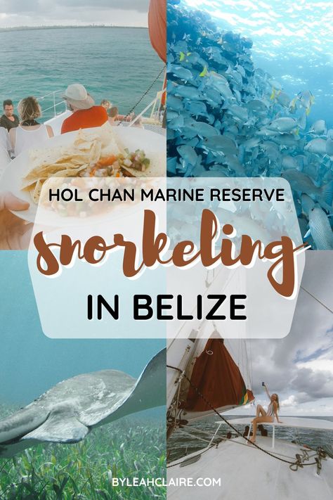 Things To Do In Belize, Belize Travel Guide, Belize Barrier Reef, Belize Vacations, Belize Resorts, Caye Caulker, Ambergris Caye, Dive Resort, Belize City