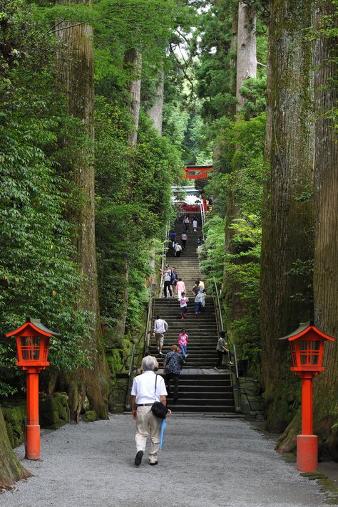 Staires in Hakone shrine Hakone Japan, Hakone, Life Is A Journey, Yokohama, Japanese Culture, Japan Travel, Beautiful World, Japanese Art, Global Community