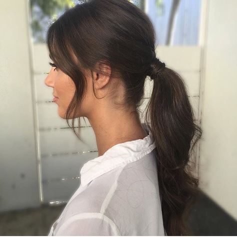 The perfect ponytail 🤓 Steph Rayner, The Perfect Ponytail, Curled Ponytail, Perfect Ponytail, Brown Ombre Hair, Dark Brown Hair, Ombre Hair, Ponytail Hairstyles, Down Hairstyles