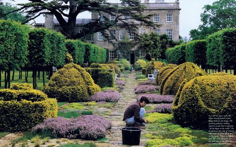 prince charles highgrove Highgrove Garden, Room Colours, English Country Style, English Country Gardens, Garden Photos, Country Estate, Country Gardening, Prince Charles, Prince Of Wales