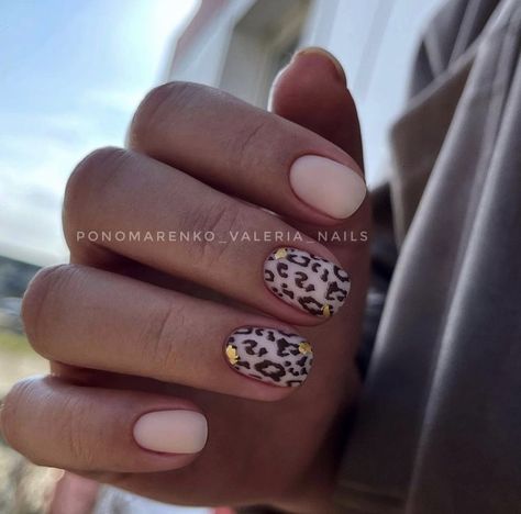 Half Leopard Nails, Short Leopard Print Nails, Round Nail Designs, Short Round Nails, Cheetah Nail Designs, Animal Print Nails Art, Nails Art Ideas, Milky Nails, Cheetah Nails