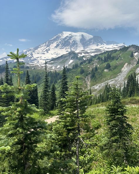 Mt. Rainier ☑️ Mt Rainer, Mt Rainier, The Mountain, Dream Life, Collage, Pins, Instagram